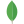 MongoDB icon